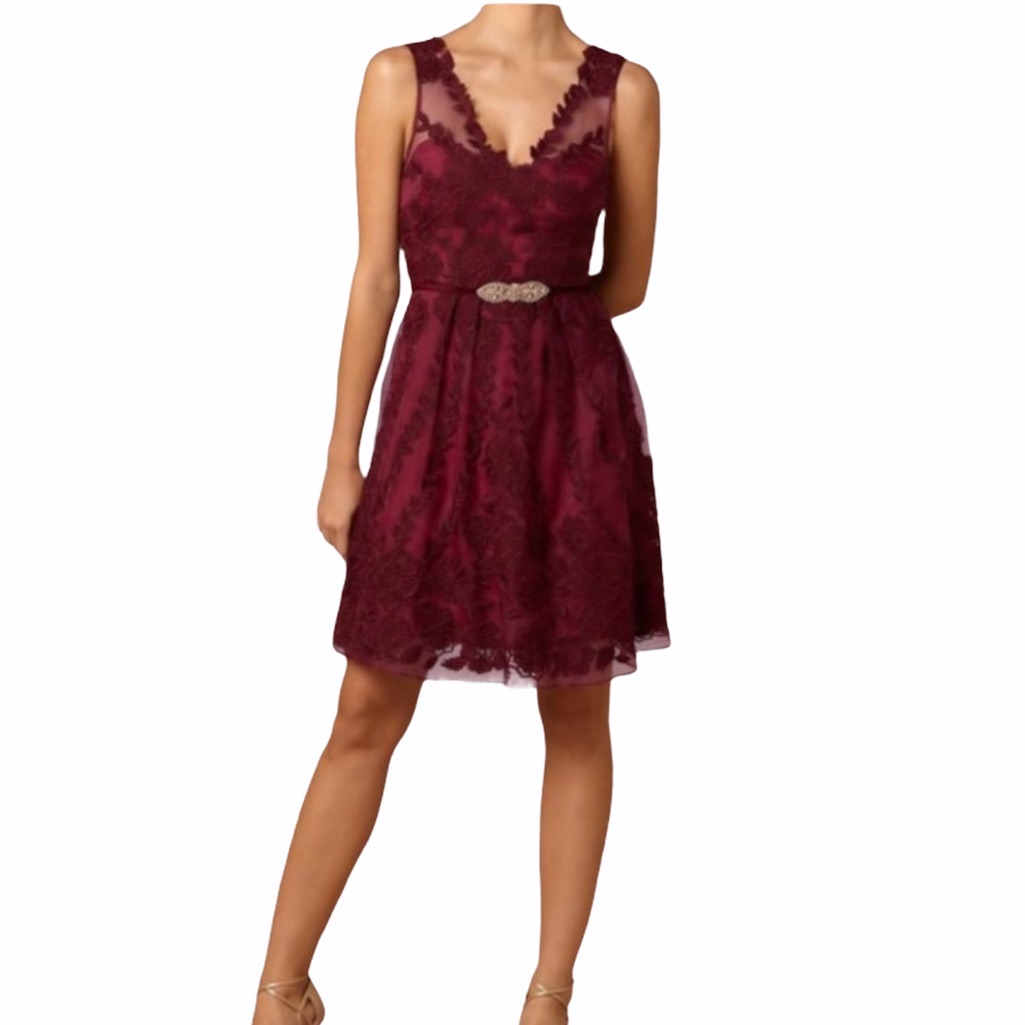 Bhldn Yoana Baraschi Ersalina Dress In Black Cherry Size 2 Euc
